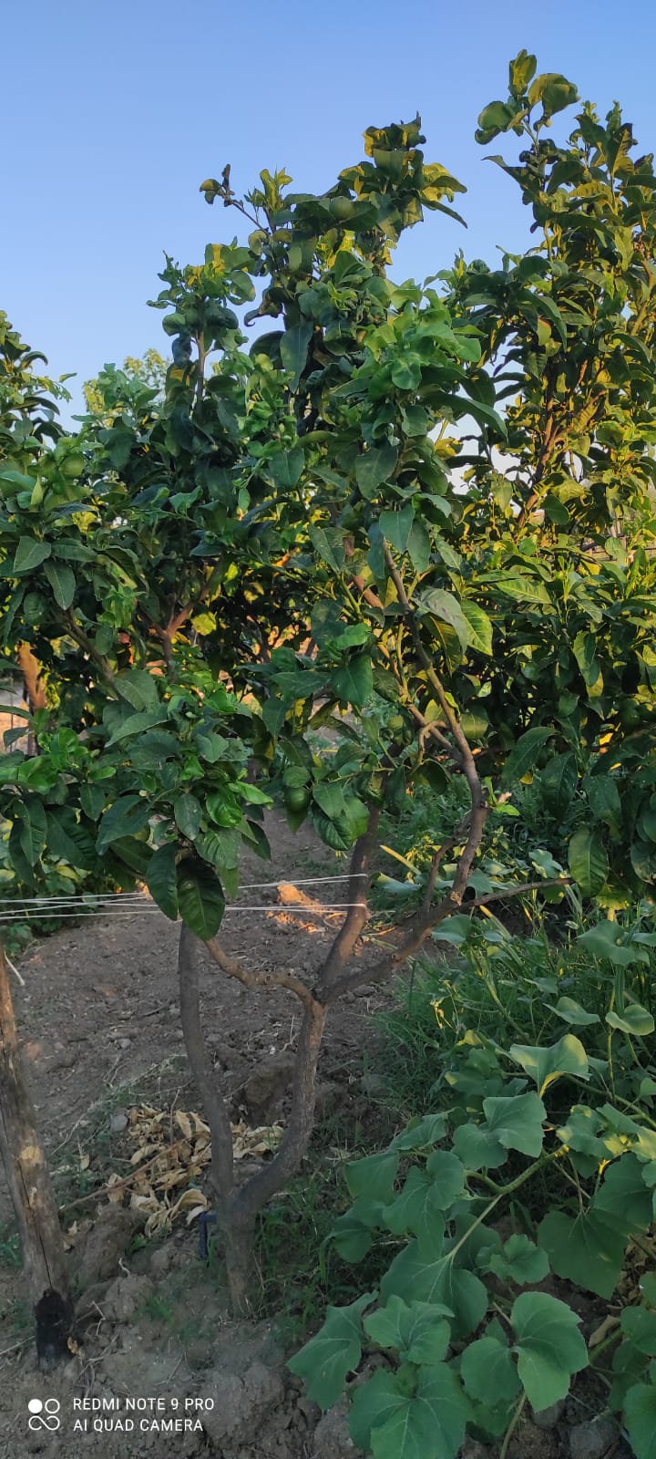 WhatsApp Image 2025-08-25 at 17.23