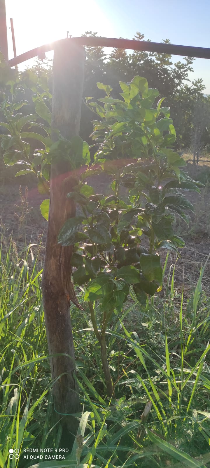 WhatsApp Image 2025-08-25 at 17.23