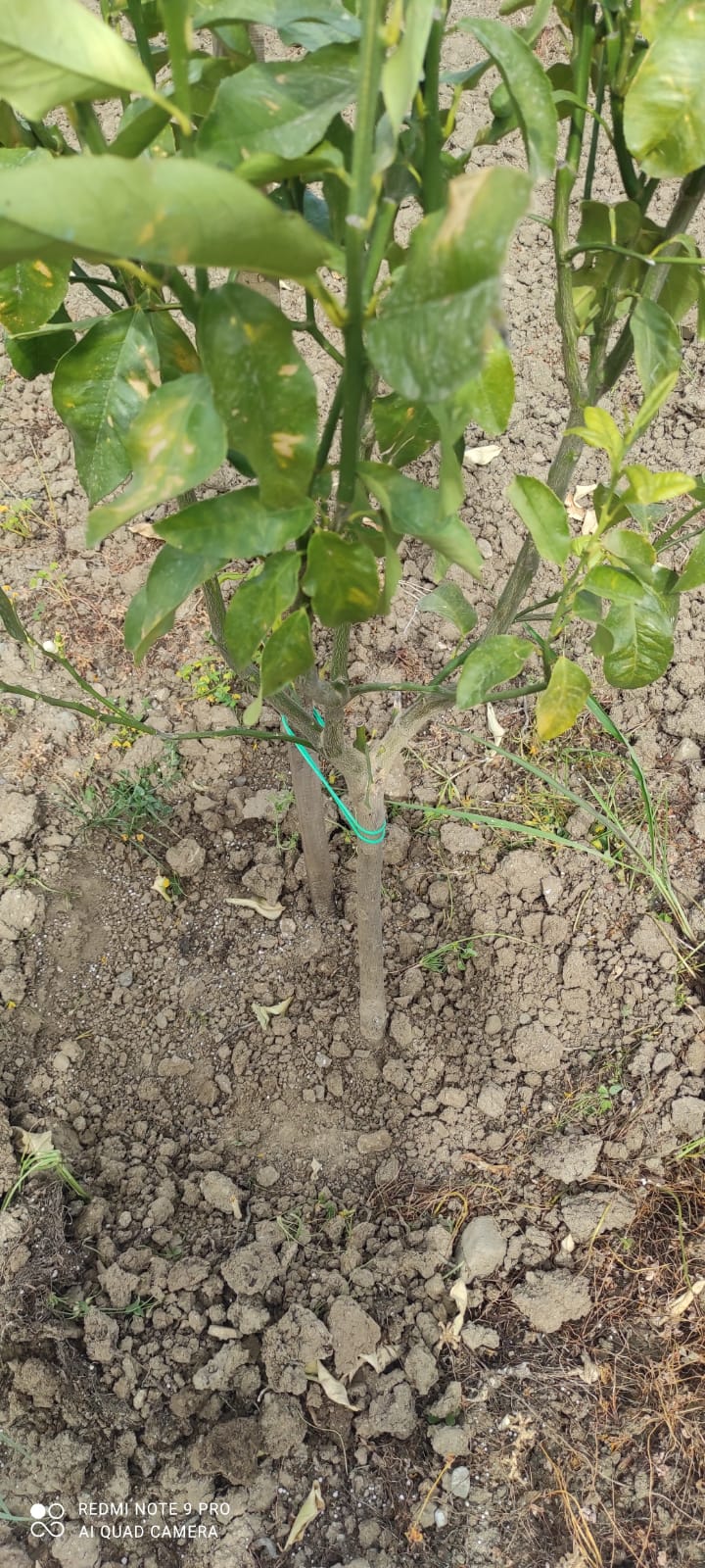 WhatsApp Image 2025-08-25 at 17.27